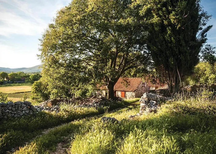 Tatil Evi Three-bedroom In Brstanovo